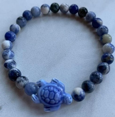 Save the Turtles in Sodalite